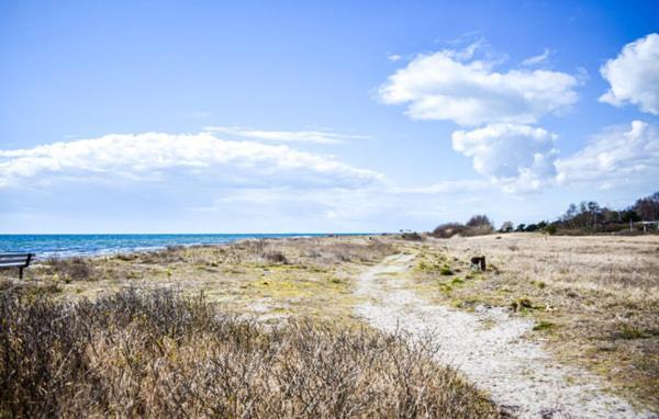 Cosy Cottage By The South Coast Trelleborg Ngoại thất bức ảnh